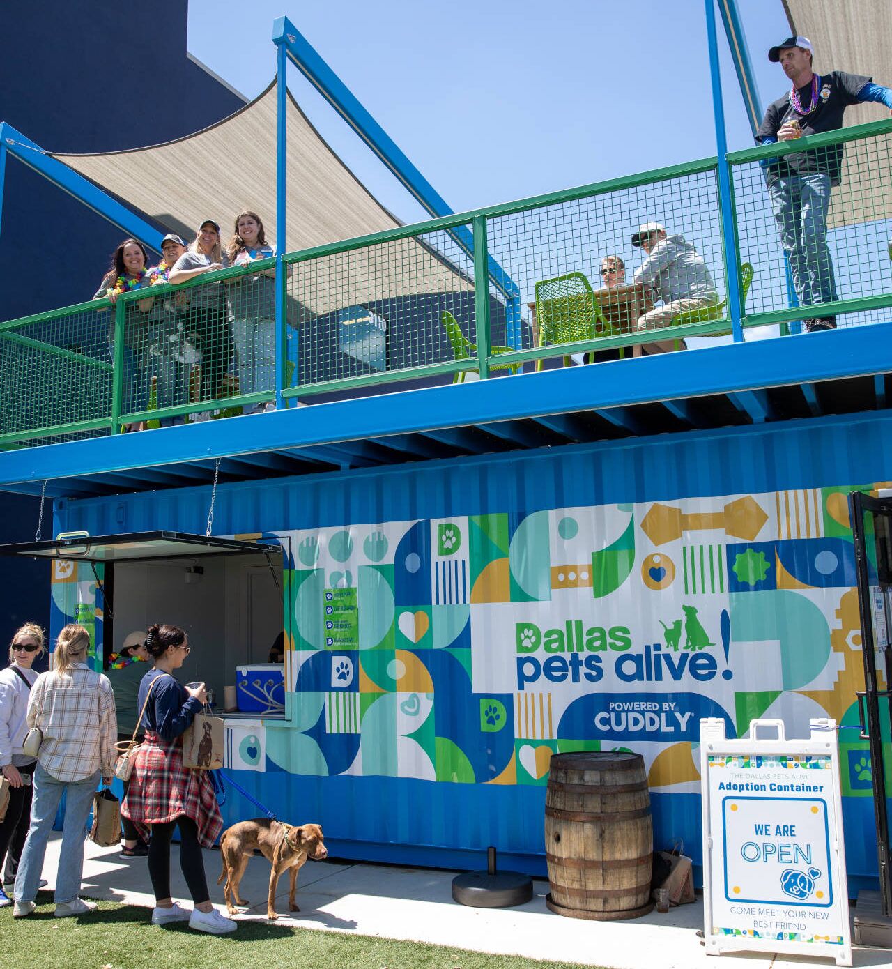 Dallas Pets Alive Adoption Container e1689777133511