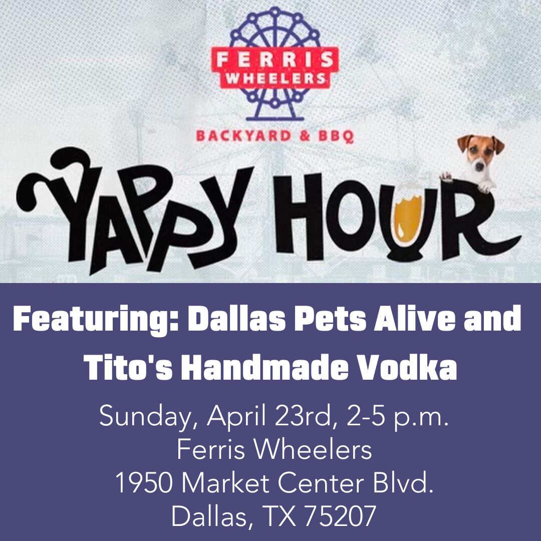 Yappy Hour