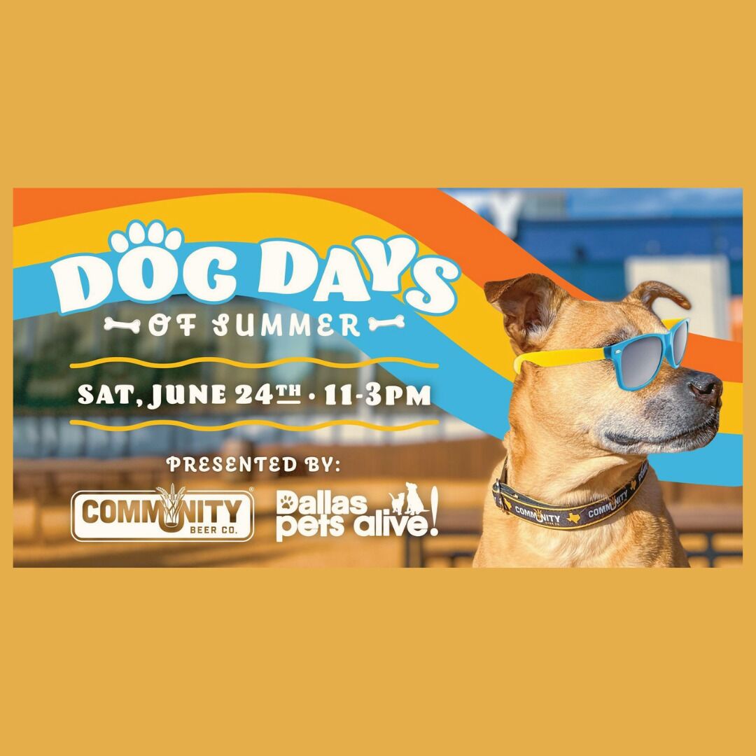 Dog Dayz of Summer 1 Copy of Website Blogs