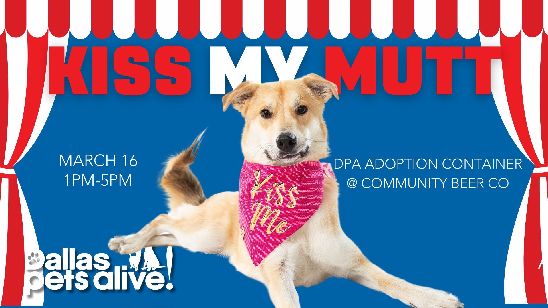 DPA Web Kiss My Mutt 1920w 1080t