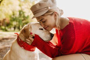 free pet food