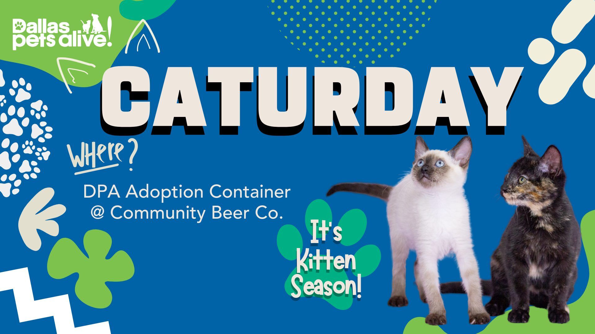 DPA Web Caturday 1 1920w 1080t