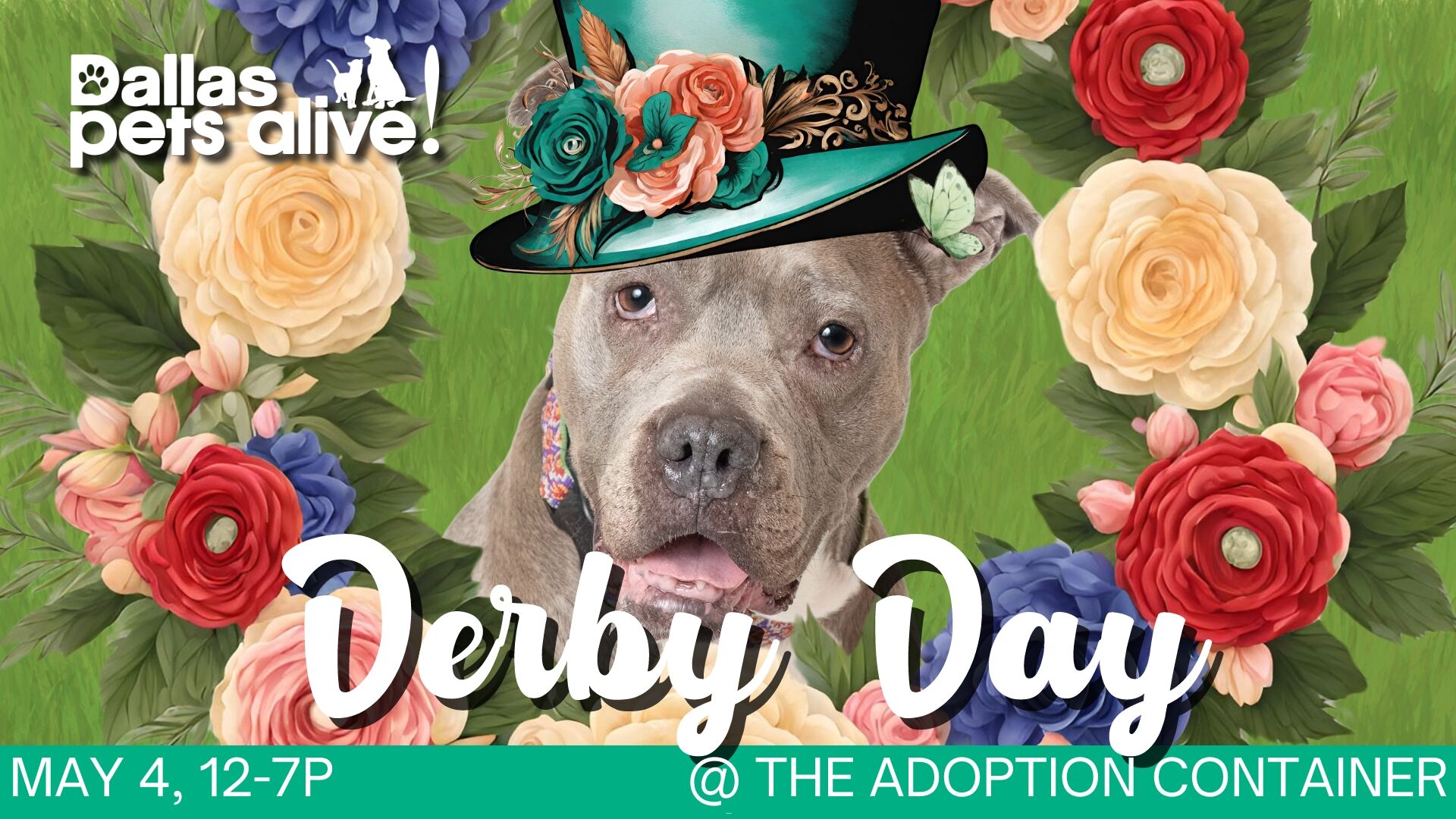 DPA Derby Day 1920w1080t