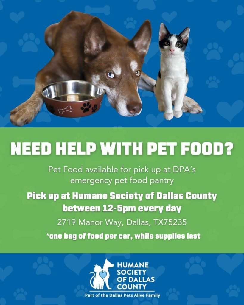 free pet food at HSDC