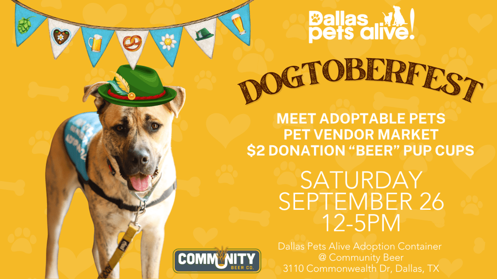 Barktoberfest
